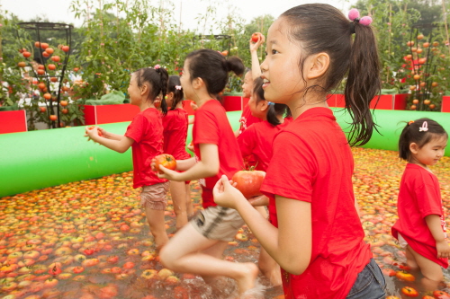 The festival featured a variety of events and performances including tomato pool fighting, new tomato variety exhibition, tomato dish tasting, tomato cooking class, and celebrity-filled stage event.