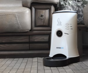 A Korean company called OpenBrain Tech has recently unveiled a pet care system "PetStation" by which pet owners can remotely monitor, feed, and turn on the lights for their dogs and cats all through wireless Skype. (image: OpenBrain Tech)