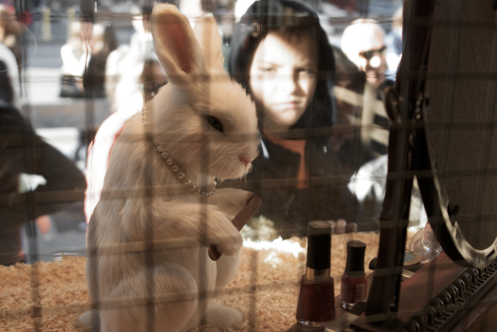 On upcoming November 16, Lush Retail, the British cosmetic purveyor famous for fresh handmade cosmetics, will hold the first expo in Korea to fight against animal testing. (image credit: schatz @ flickr)