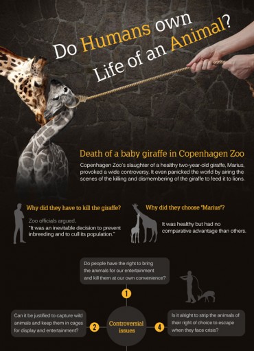 [Kobiz Infographics] Do Humans own Life of an Animal?