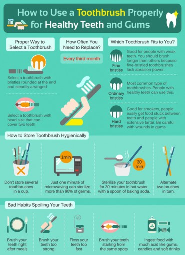 [Infographics] How to Use a Toothbrush Properly for Healthy Teeth and Gums