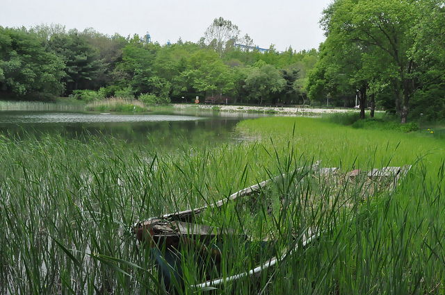 Seoul City Holds “BioBlitz Korea” Jointly with Korea Forest Service and National Arboretum