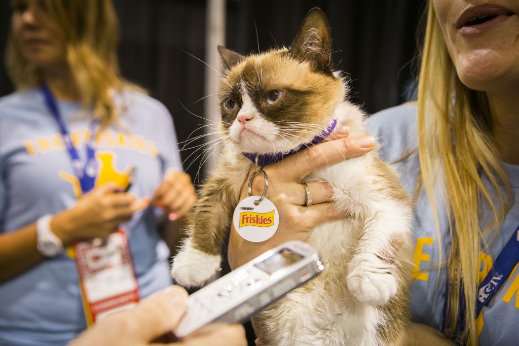 Friskies® “official spokescat,” Grumpy Cat helped announce the third annual “The Friskies” awards for the best Internet cat videos of the year during VidCon at the Anaheim Convention Center, Friday, June 27, 2014, in Anaheim, Calif. (Bret Hartman/AP Images for Friskies)