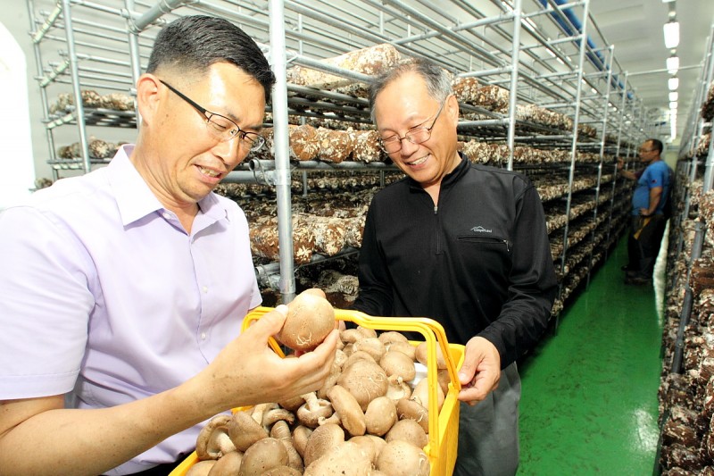 KT Sets up “Smart Plant Factory” using ICT for New Farmers