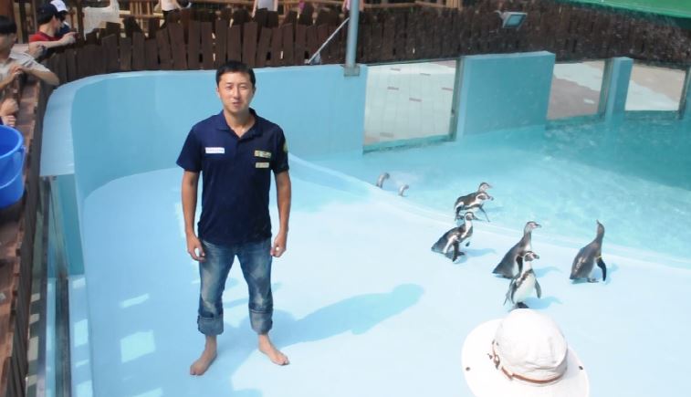 A staff of marketing team at Samjung The Park Zoo in Busan has taken on an Ice Bucket Challenge in their penguin cage on August 23. (image: Samjung the Park Zoo)