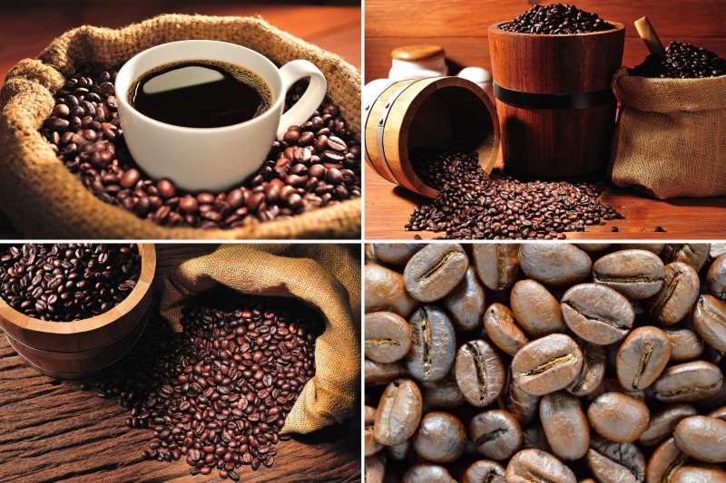 Large-scale “Coffee Theme Park” to Be Built in Chuncheon, Gangwon Province