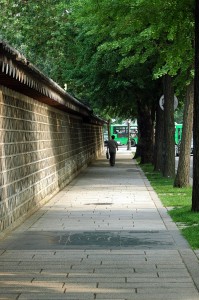 These trails will "walk you through" the splendid 600-year history of Seoul under cool tree-shades (image: Doo Ho Kim/ Flickr)
