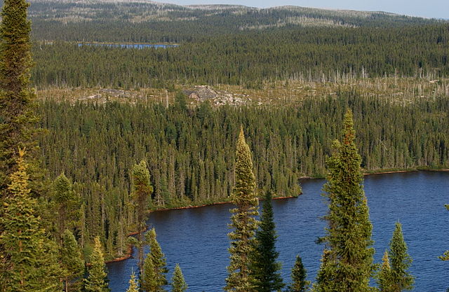 Korea Partners with Canada in Forestry Field