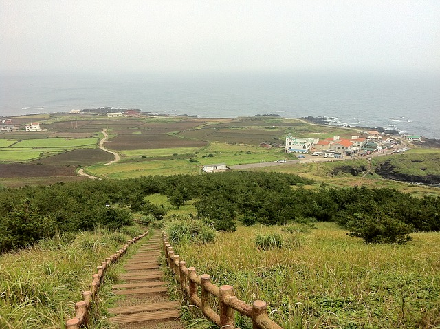 Members of Running Man and Run, Brothers will literally run in this scenic island of Jeju. (image: Pixabay)