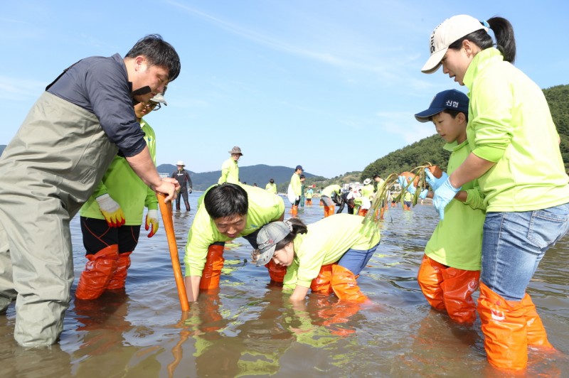 DSME Holds First “Ocean Arbor Day” to Plant Seaweeds
