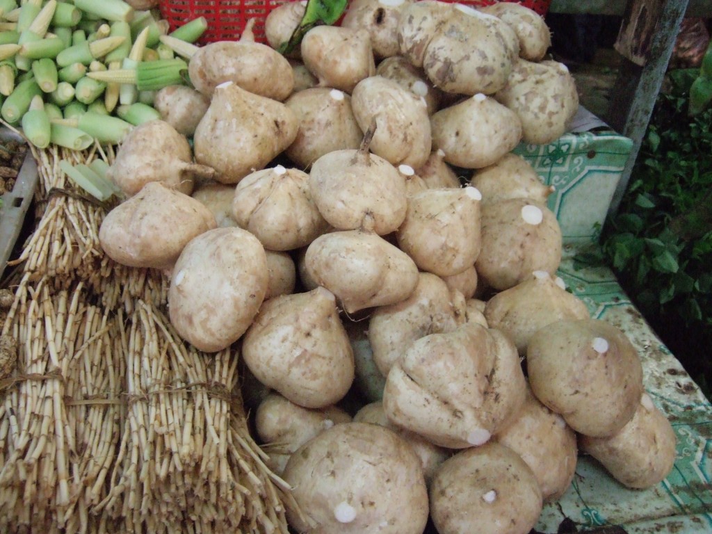 Jicama is an edible root that resembles a turnip. It has thin brown skin and crisp, juicy, white flesh that's mild in flavor and is a very low calorie root vegetables. (Wikimedia Commons)