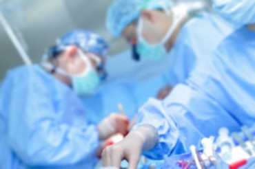 Bio-artificial Human Liver Transplant Treatment Invites the Rosy Future