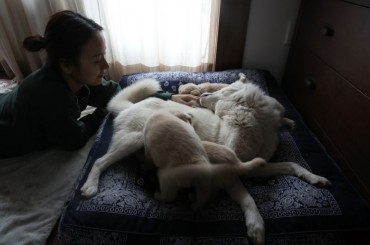“Social-tainer” Hyori’s Blog Posting on Puppies Goes Viral