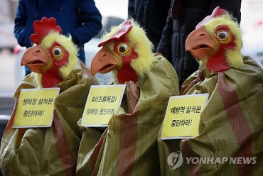 Factory Farms Weaken Animals’ Immunity: Korea Association for Animal Protection