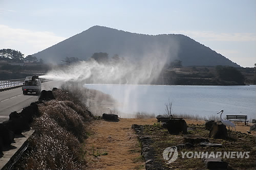 Highly Pathogenic Avian Flu Found in Jeju