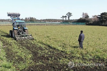 4,000 Tons of Jeju Carrots Discarded to Stabilize Prices