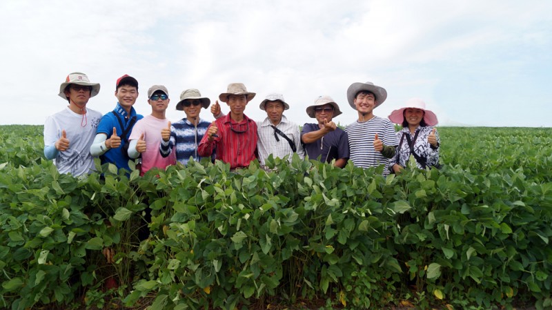 Young Koreans on Unprecedented Challenge: Massive Organic Farming in Brazil