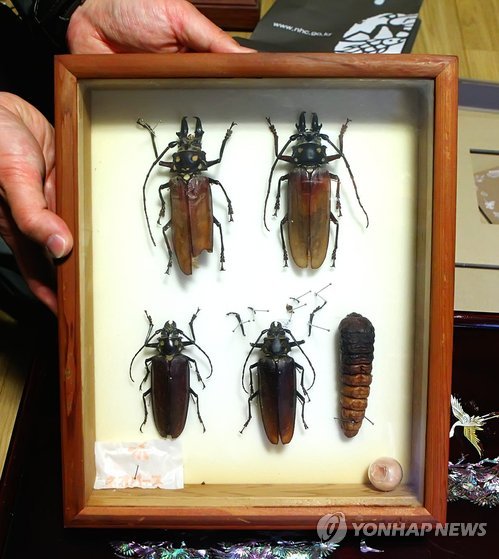 Korean Entomologist Donates Lifetime Collection of 2,000 Insect Specimens