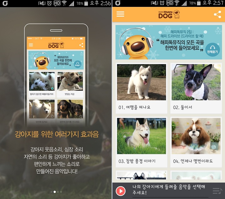 CH Happy Dog and DION Launch Music App for Dogs