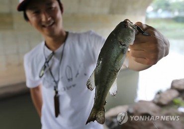 Daegu to Compensate Invasive Species Hunters with Reward Money