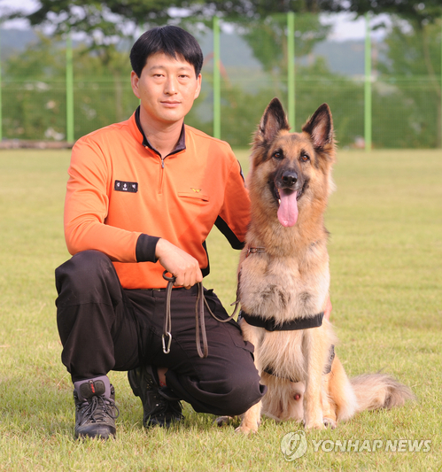 Handler and fire lieutenant Kim Yong-Duck of the Busan Special Rescue Service and his 8-year-old partner Sejoong have made 20 recoveries in the past 4 years. (image: Yonhap)