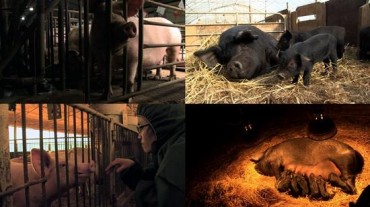Animal Rights Documentary Coming to Korea on May 7
