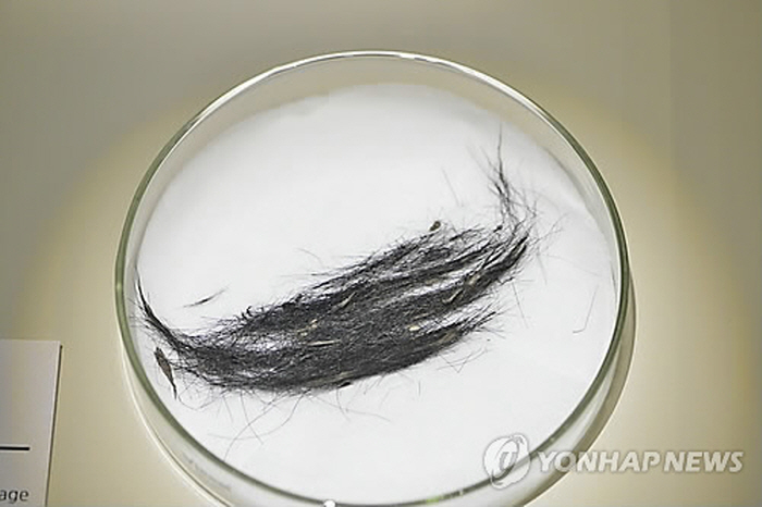 A rare trial in a drug offense case about the speed of hair growth is drawing attention in Korea. (image: Yonhap)