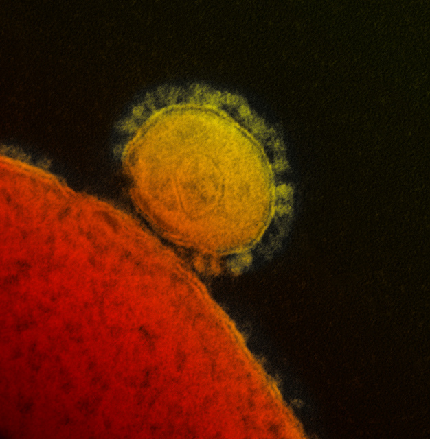 Schools Closed to Prevent Spread of MERS