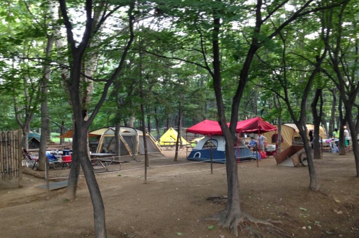 Seoul Operates Cheap, Safe Campgrounds at 7 Parks