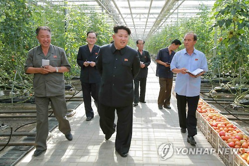 Kim Jong-un Executes Man over Starving Turtles as North Koreans Go Hungry