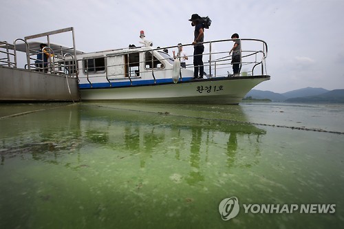 Green Tides on Land, Red Tides at Sea