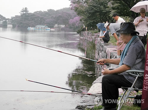 Fishing at Uirimji. (2012) (Image : Yonhap)