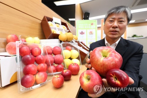 As the number of one person households has increased, the Rural Development Administration announced that it would develop good quality smaller fruits, and start to supply the new produce regularly. (Image : Yonhap)