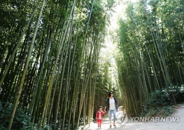 Already 500,000 Visitors to World Bamboo Fair in Damyang