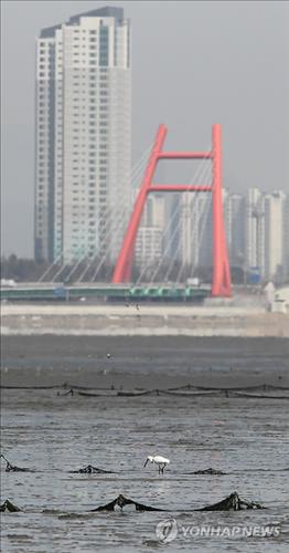 An artificial island to protect rare bird species will be created at the mud flats near Songdo, Incheon, an area designated as a Ramsar wetland. (Image : Yonhap)