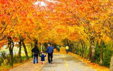 100 Different Ways to See Fall Leaves in Seoul
