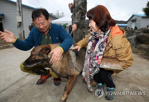 Twenty-two military dogs that used to play an active role in army operations have started new lives as pets after their retirement. (Image : Yonhap)