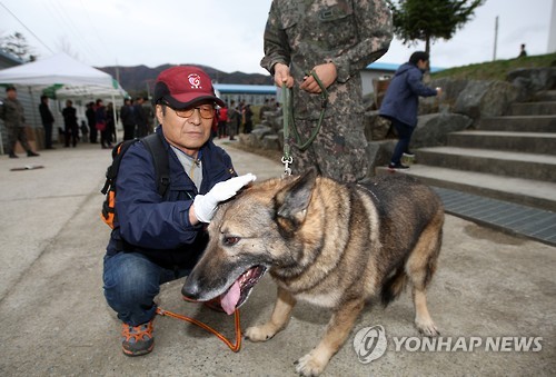 Twenty-two military dogs that used to play an active role in army operations have started new lives as pets after their retirement. (Image : Yonhap)