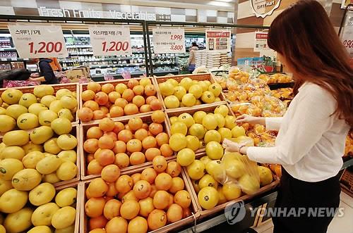 Domestic demand for grapefruits also increased, pushing imports up from 17,000 tons to 22,000 tons (28.5 percent). (Image : Yonhap)