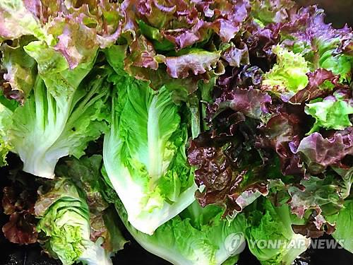 Lettuce Produces More Greenhouse Gases than Bacon