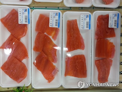 Salmon, which was recently farmed for the first time in Korea, is gaining popularity in the market. (Image : Yonhap)