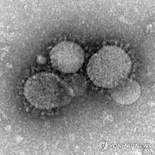 Magnified MERS virus. (Image : Yonhap)