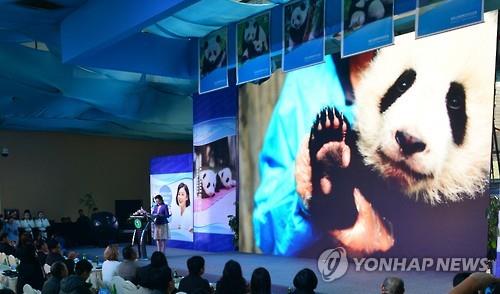A pair of giant pandas born in China will fly to South Korea as early as next month to live at an amusement park owned by Samsung Everland, company officials said Thursday. (Image : Yonhap)
