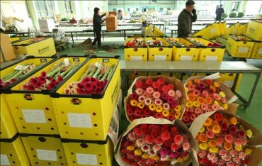 Flower Industry Hit by High Production Cost, Depressed Consumption