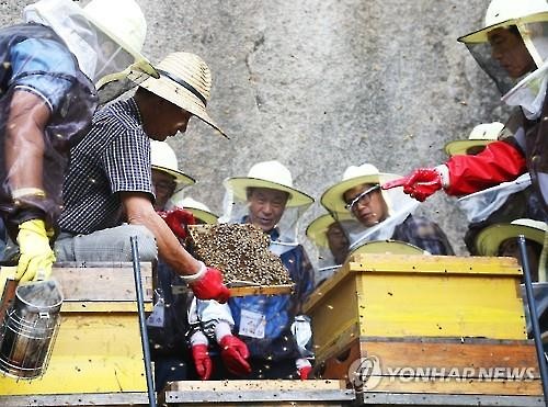 A group of senior citizens learns about beekeeping at an urban beekeeping school in Seoul in this file photo taken on June 16, 2015. (Image : Yonhap)
