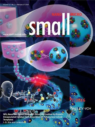 The February edition of the science journal "Small" (Image : Ministry of Science, ICT, and Future Planning)