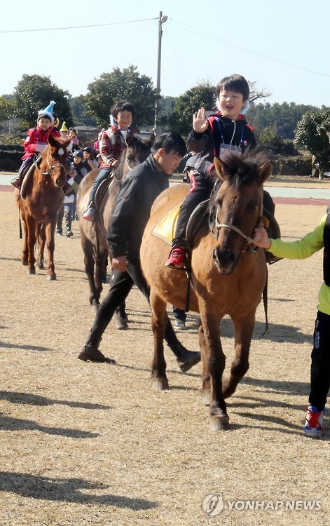 The eight new students at Siheung Elementary school in Seogwipo entered school riding horses. The children took a tour of their school on horseback. (Image : Yonhap)