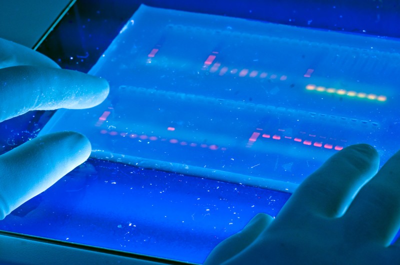 Bioline Launches New JetSeq™ DNA Library Preparation Kits