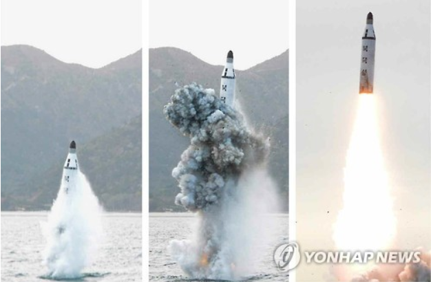 S. Korea Building up Anti-submarine Defense Amid North’s SLBM Advances