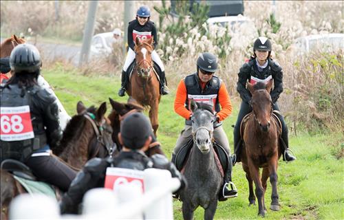 Healing horseback riding trails that are a total of 100 kilometers long will be built on Jeju Island, and are expected to draw many tourists. (Image : Yonhap)